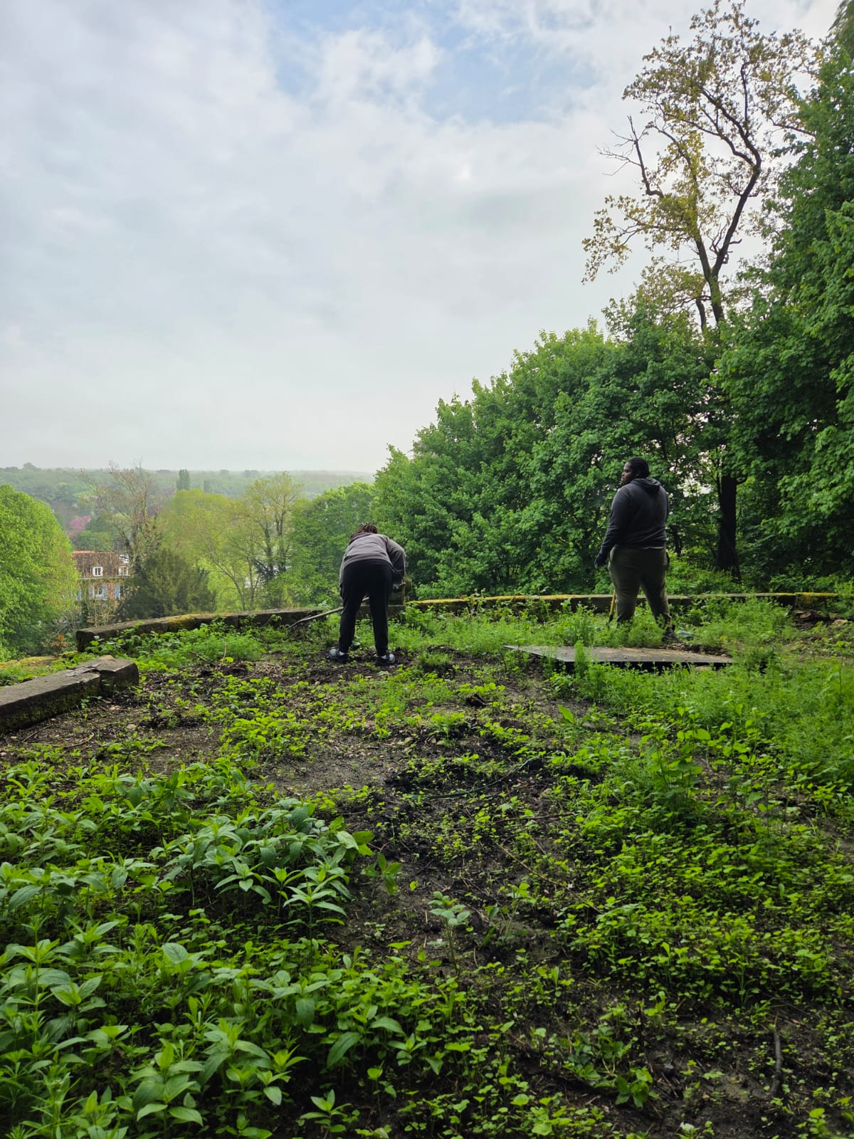 AJC Chantier citoyen6 2025.jpg