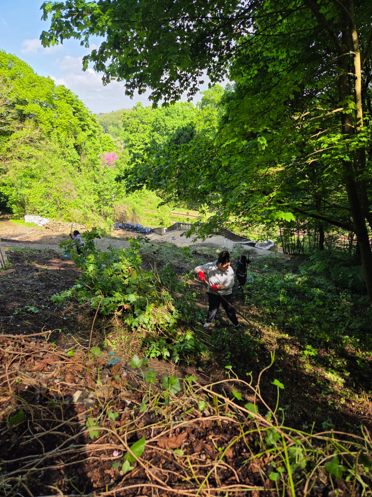 AJC Chantier citoyen7 2025.jpg