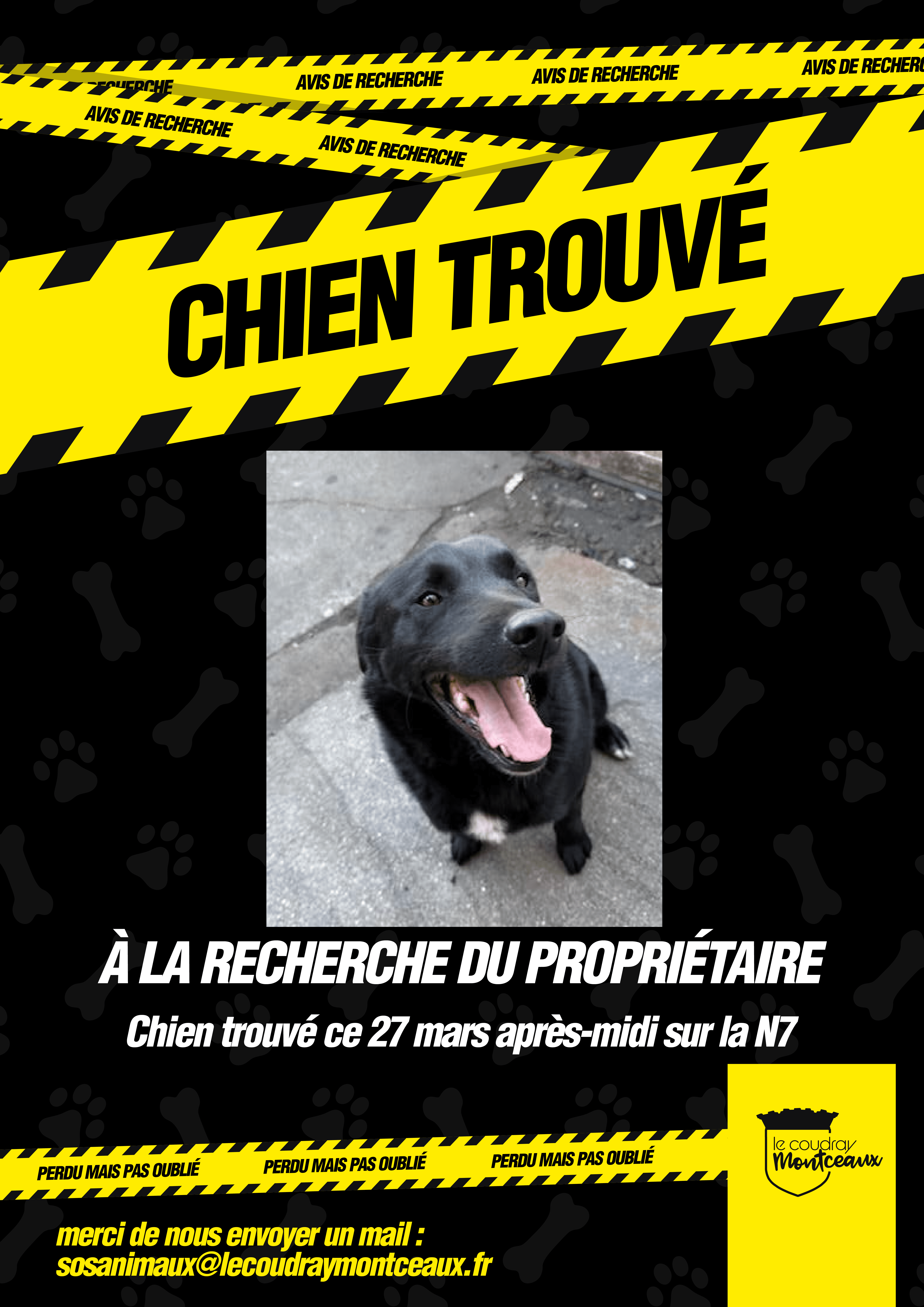 Chien retrouvé - 27 03 2025-01.png