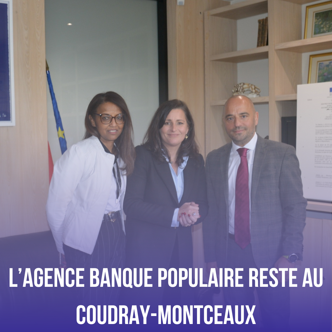 banque populaire vignette.png