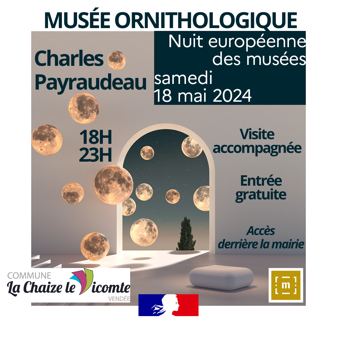 nuit musée insta 2024.png