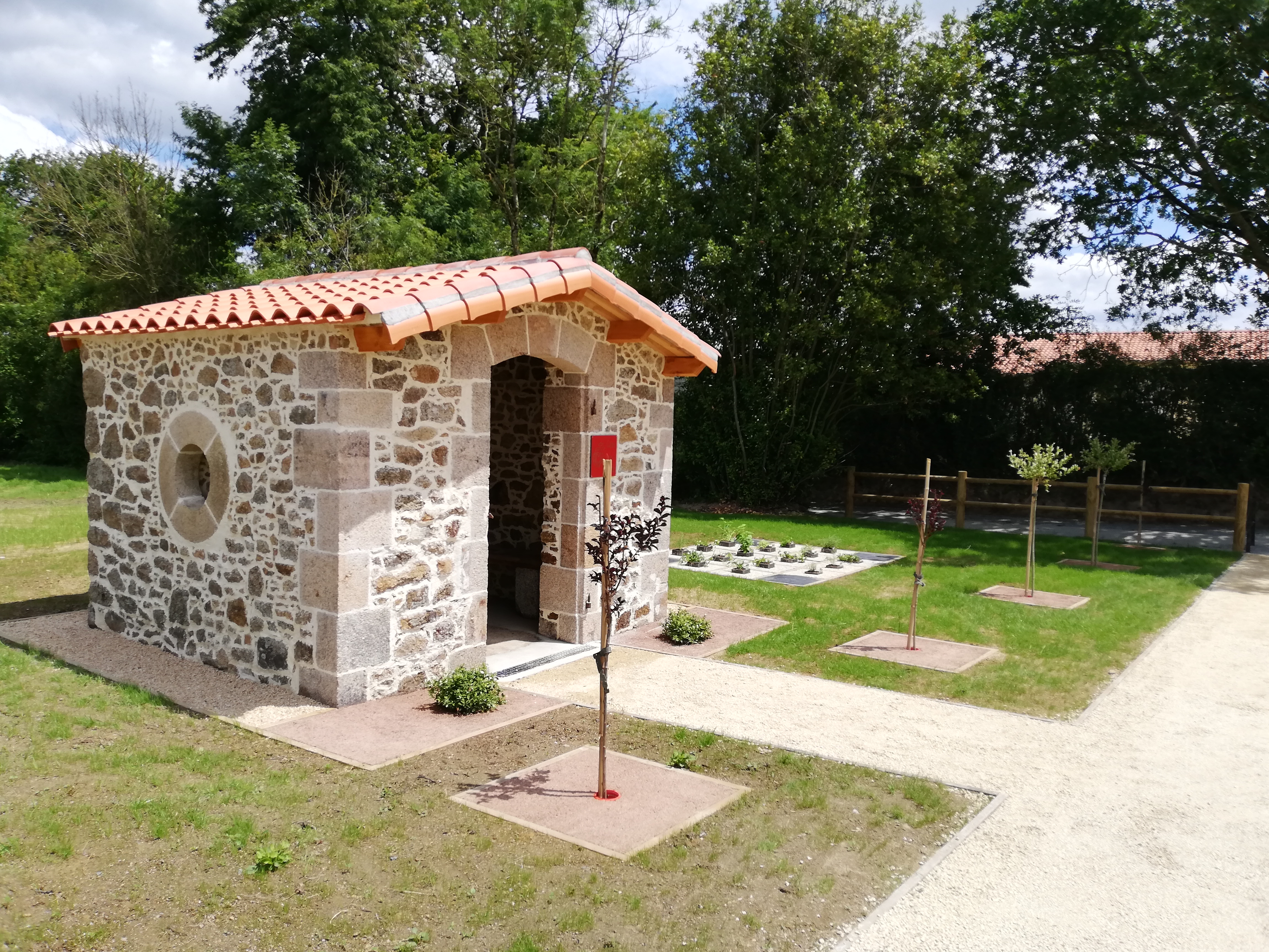 IMG_20190614_140730.jpg
