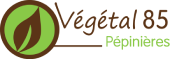 vegetal85.jpg