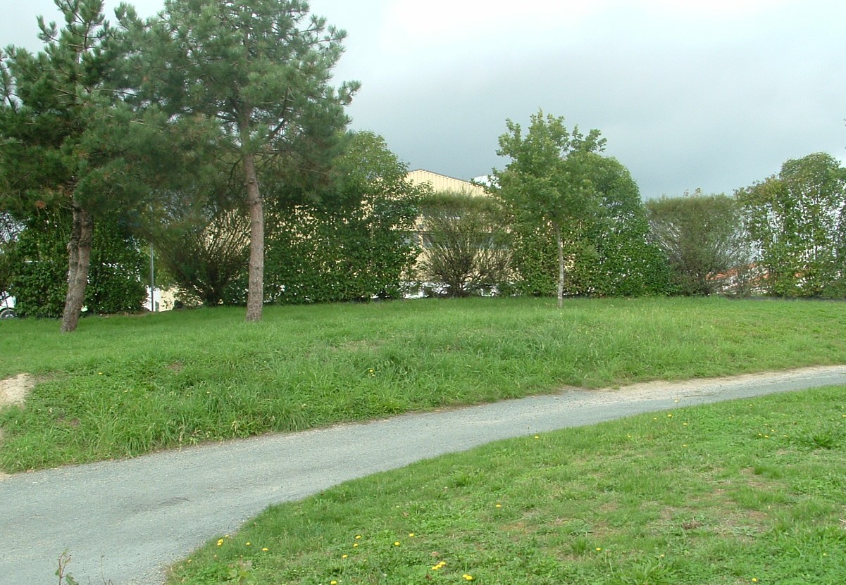 le long du Marillet.jpg