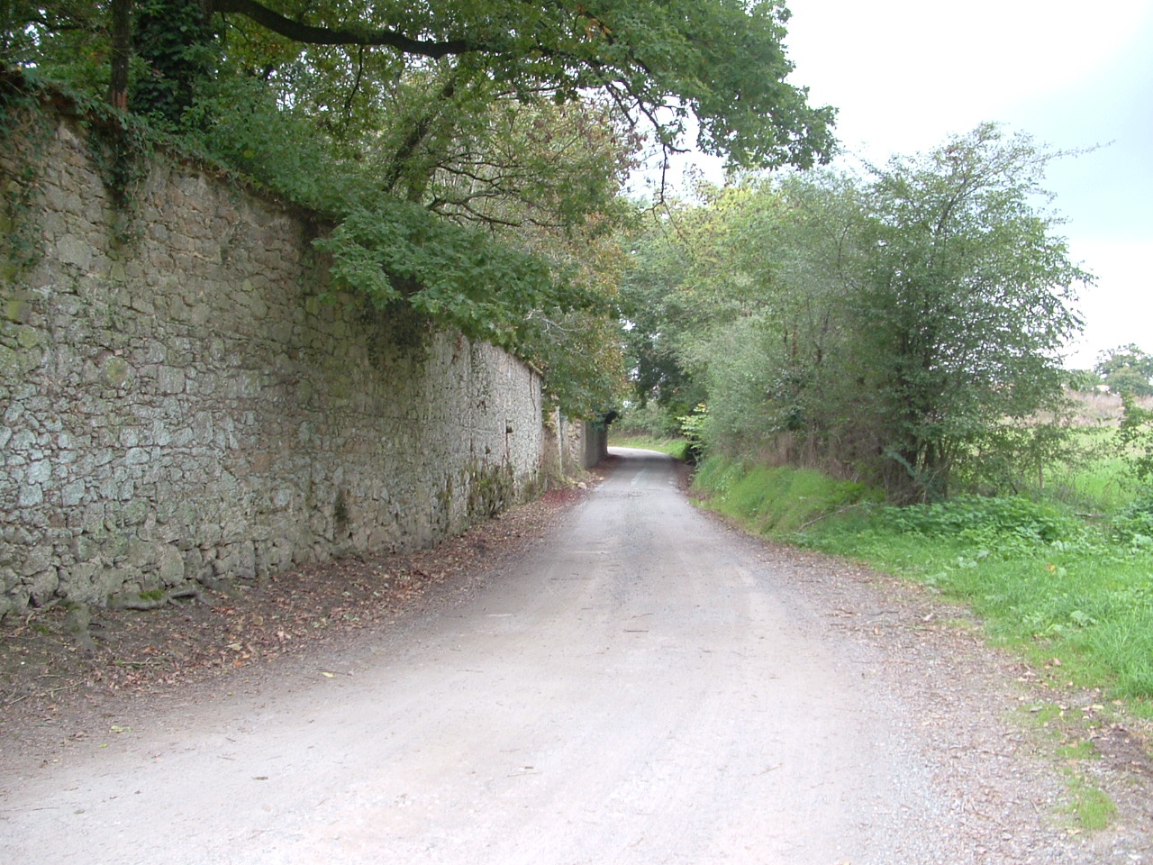 Chemin de la Lande.jpg