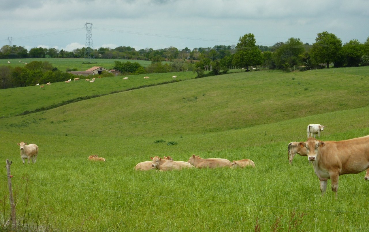 sentier du maronnier 4_05_2012 061.jpg