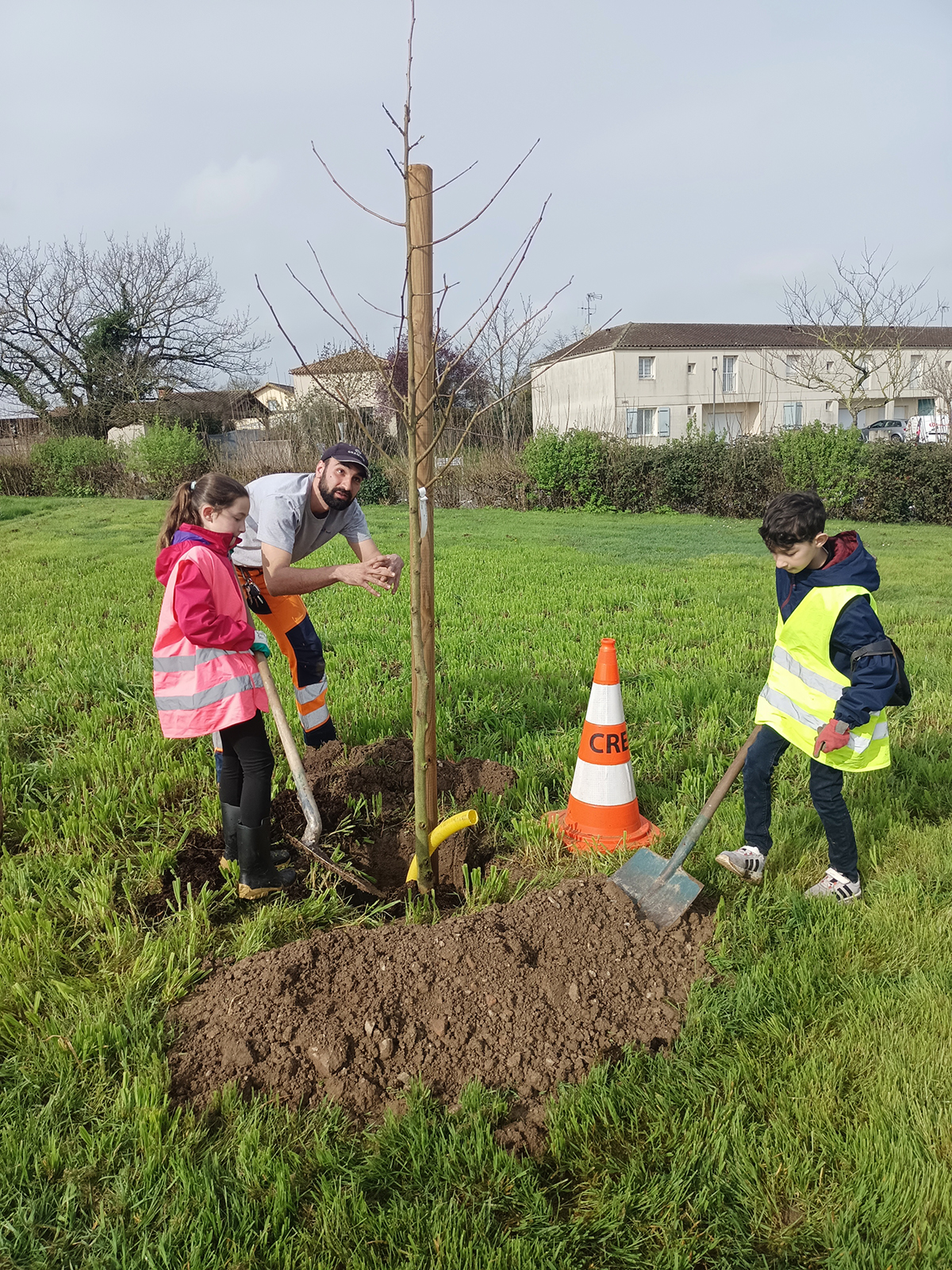 Quatre nouveaux arbres