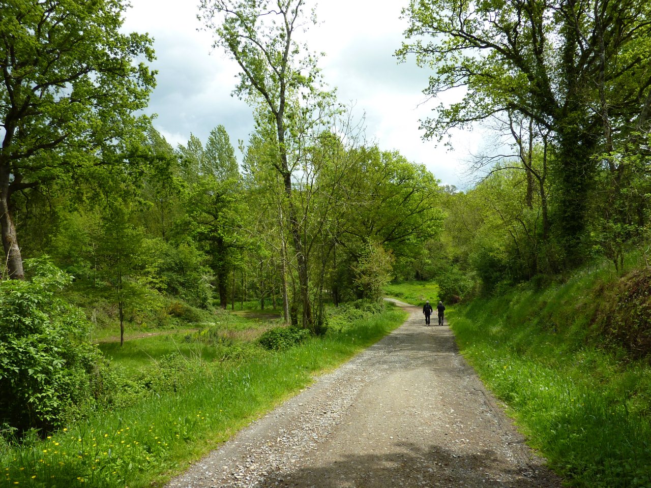 sentier du maronnier 4_05_2012 012.jpg