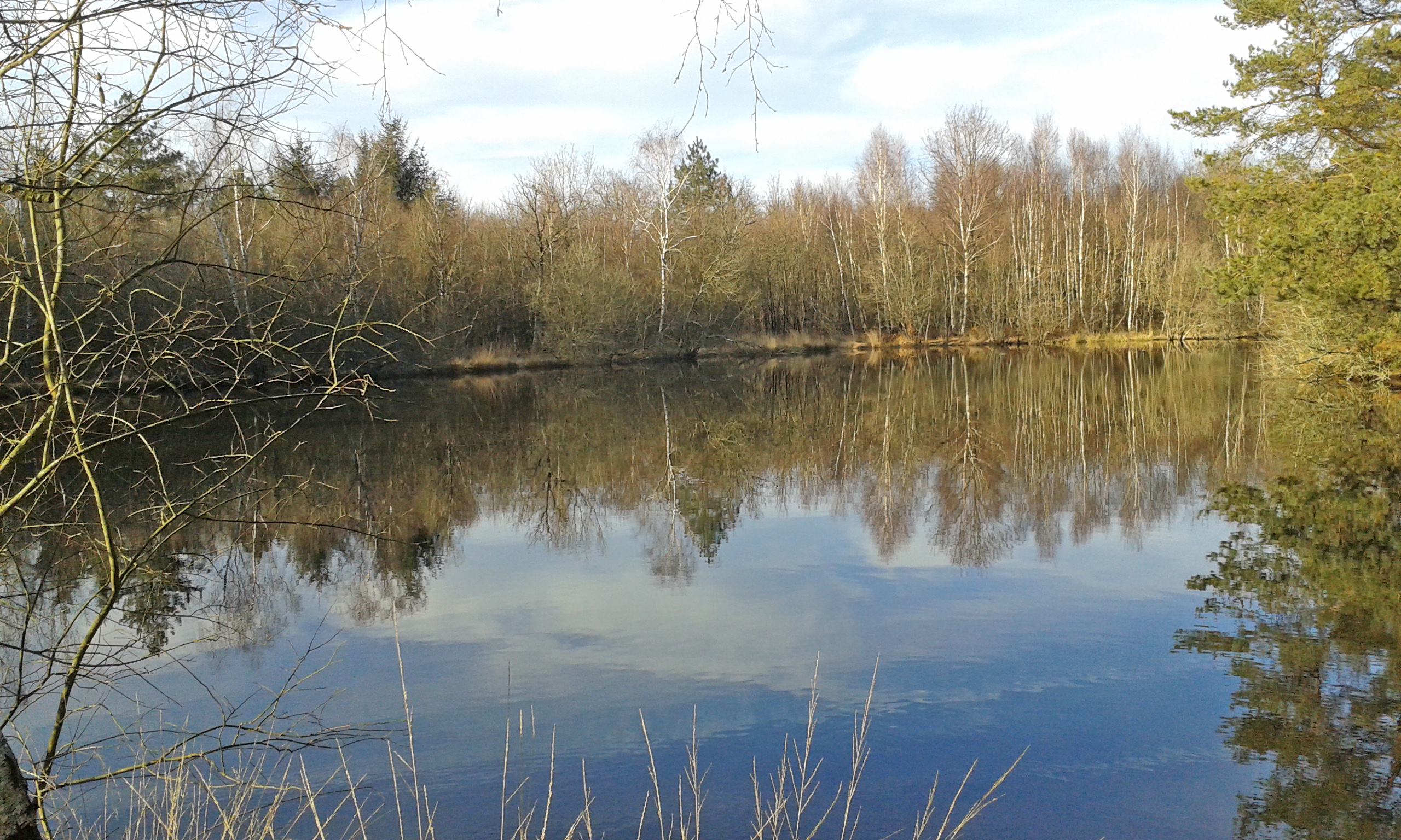 Etang Forêt de la Chaize 2 24 01 2016.jpg