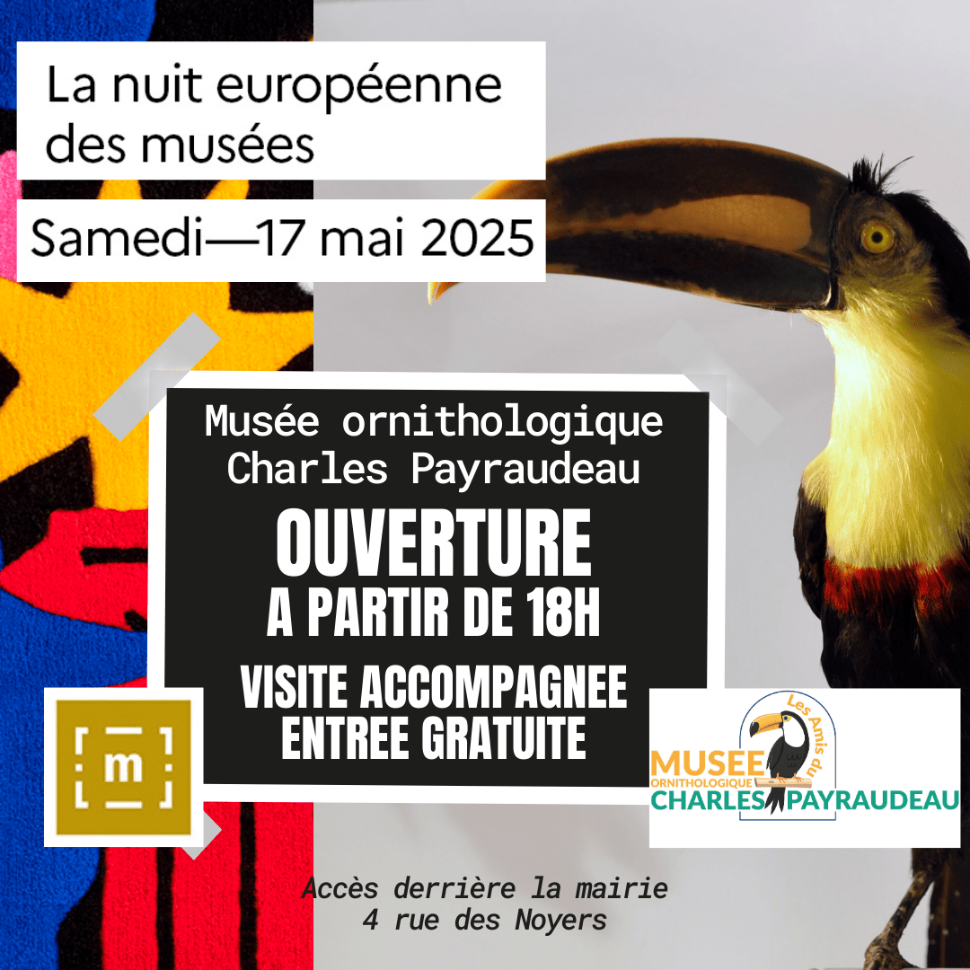 nuit musée 2025 RS.png