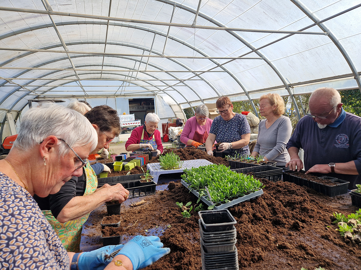 Les aînés préparent les plantations printanières