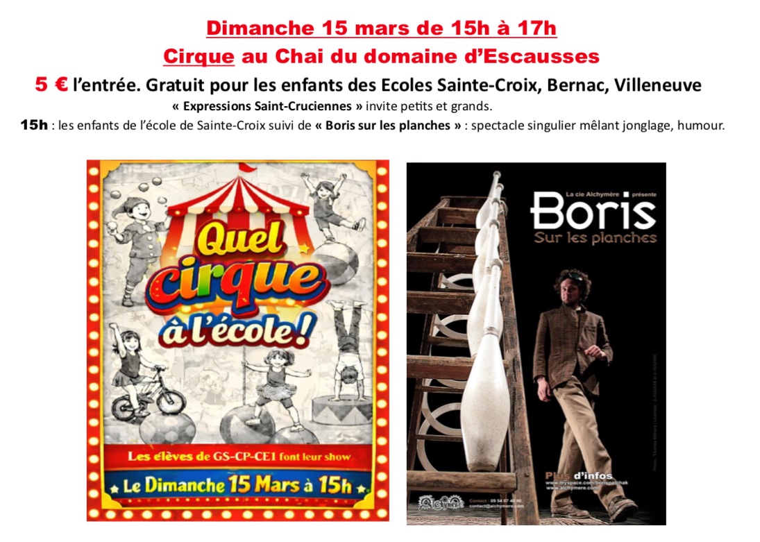 Cirque école 15 mars.jpeg