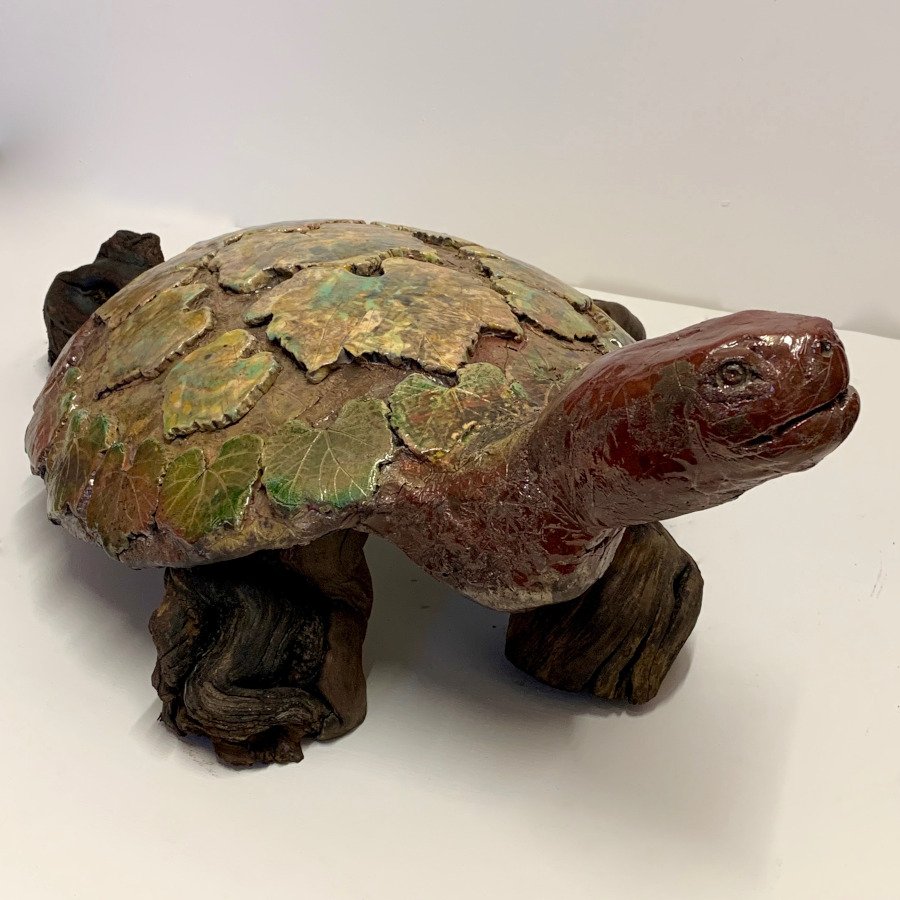 Tortue-Gaillacoise-profil-droit-900-900.jpg