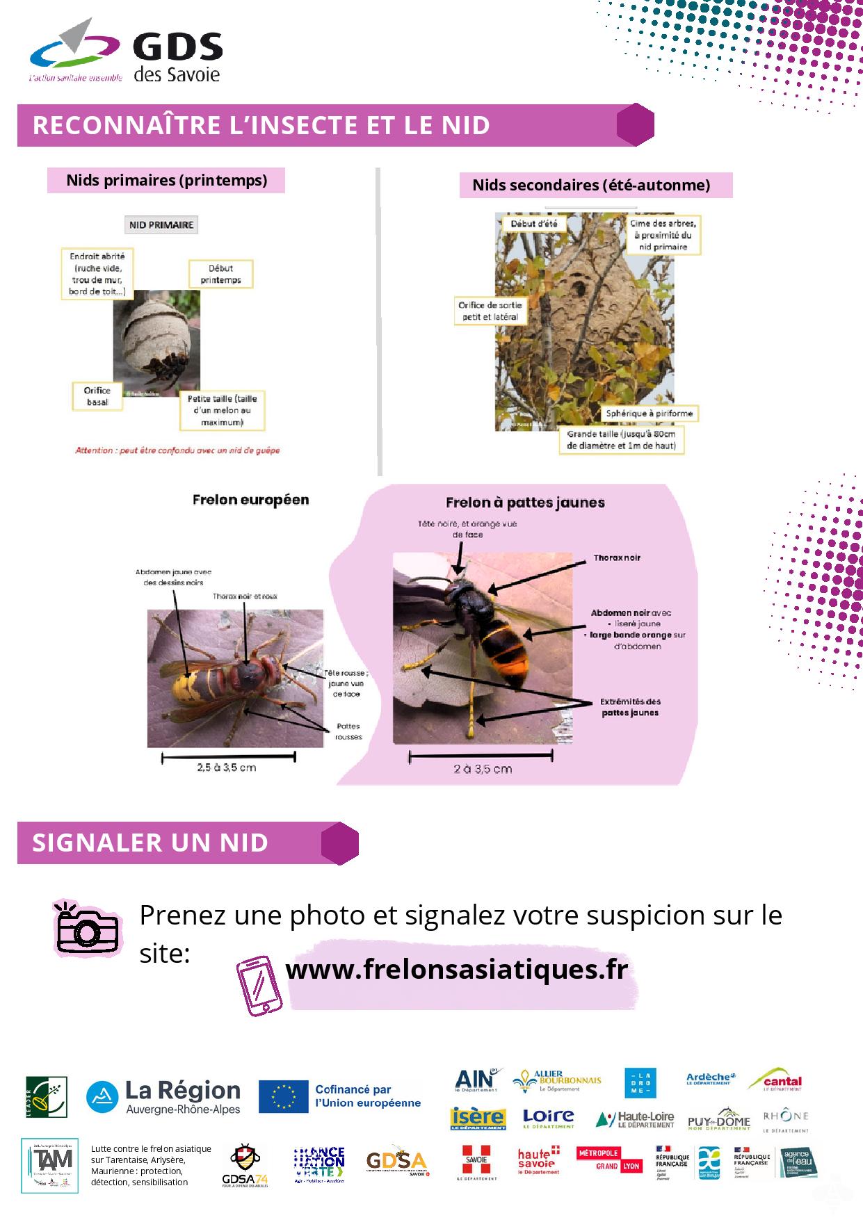 Le frelon asiatique - Communication communes-page-002.jpg