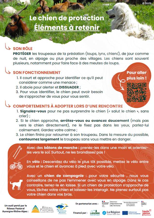 mon expérience avec les chiens de protection page 2.png