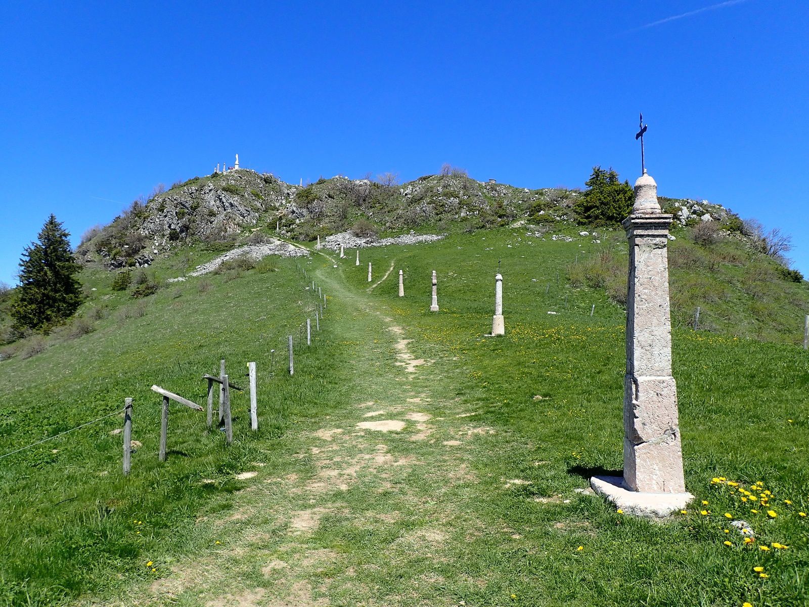 MIRIBEL.jpg