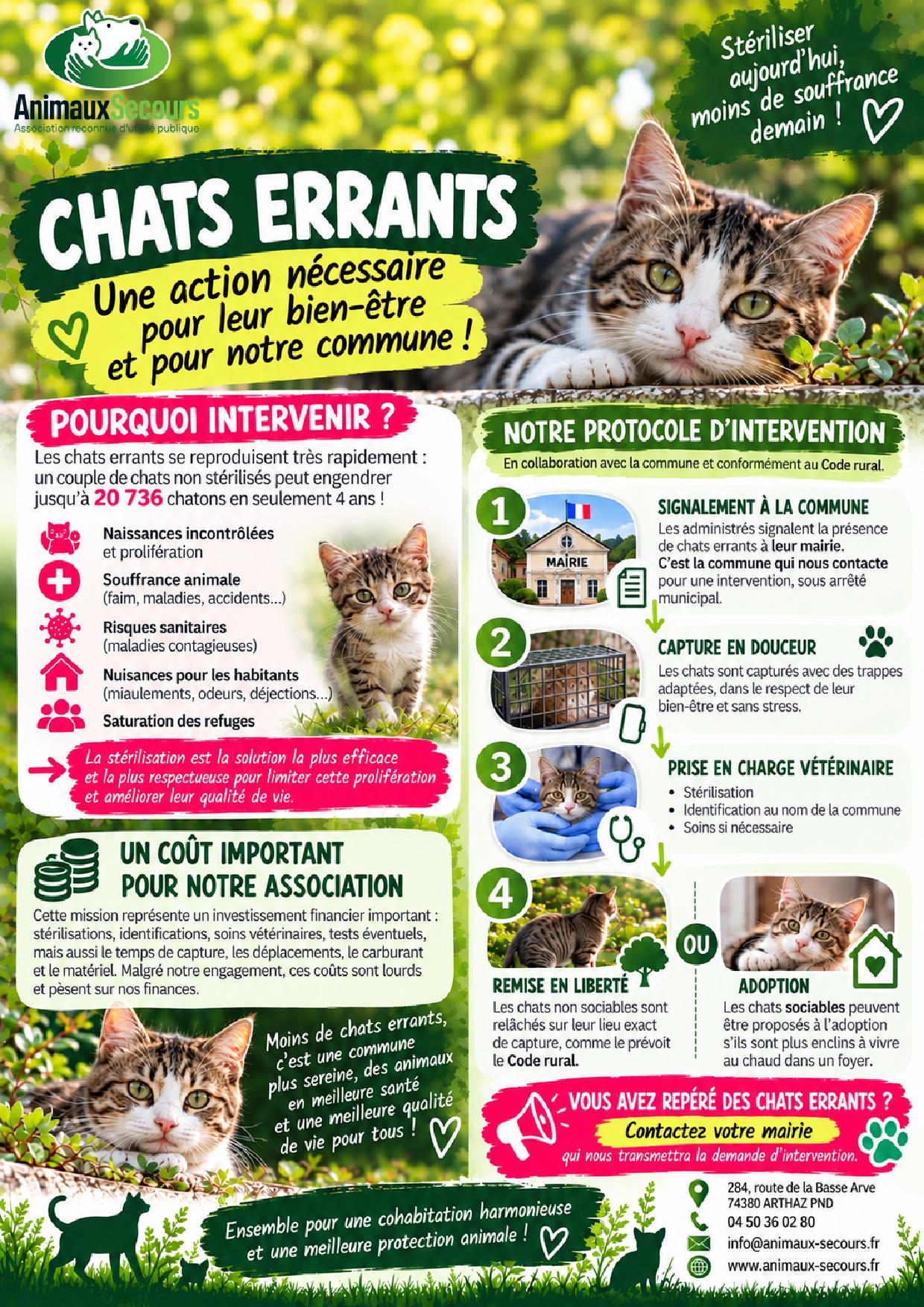 La Gestion des Chats Errants-page-001.jpg