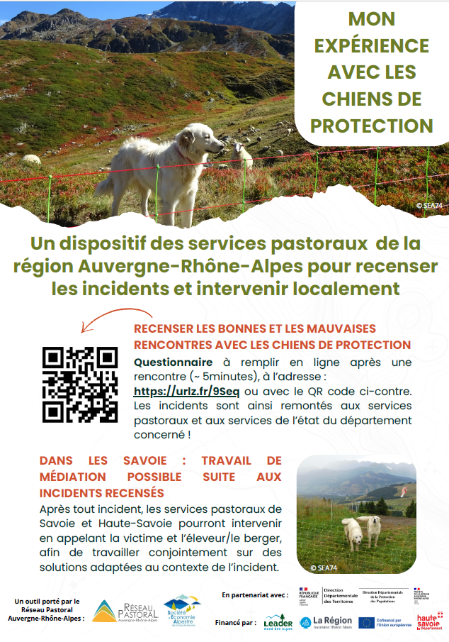 mon expérience avec les chiens de protection.png
