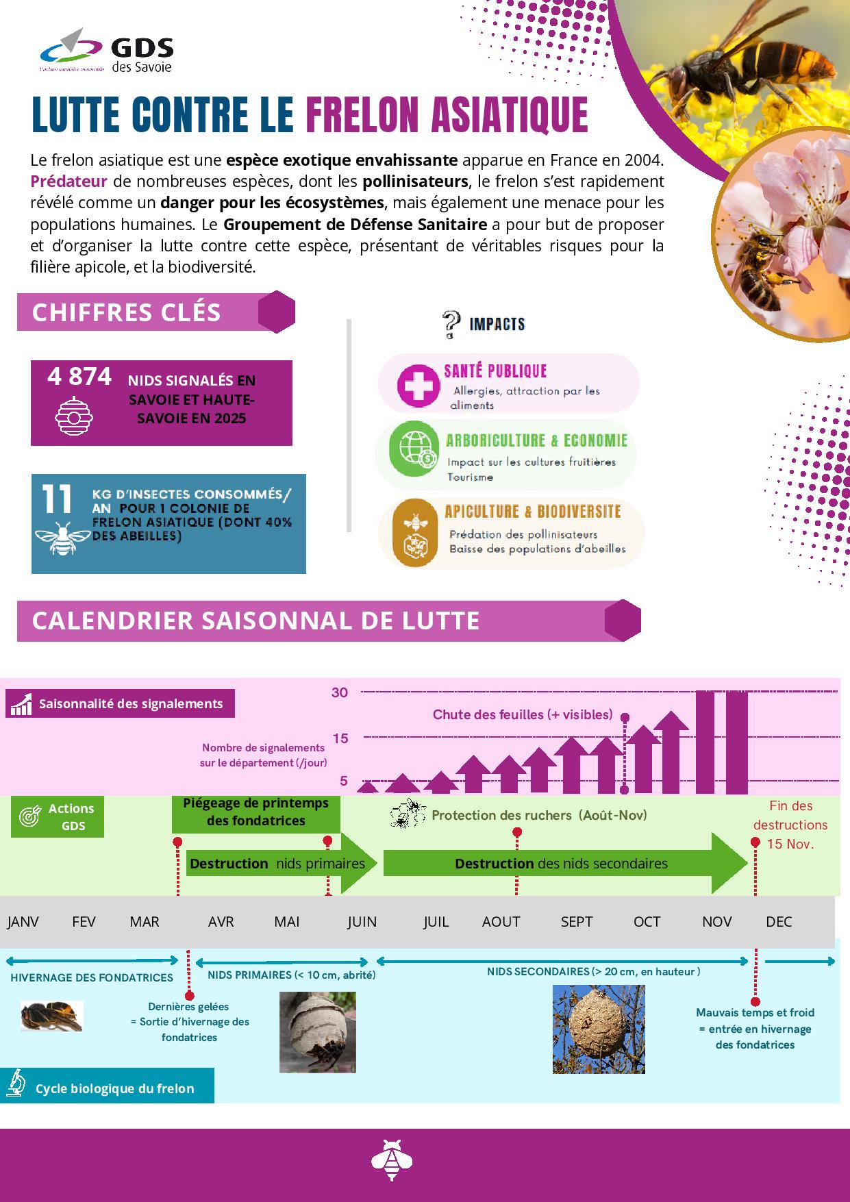 Le frelon asiatique - Communication communes-page-001.jpg