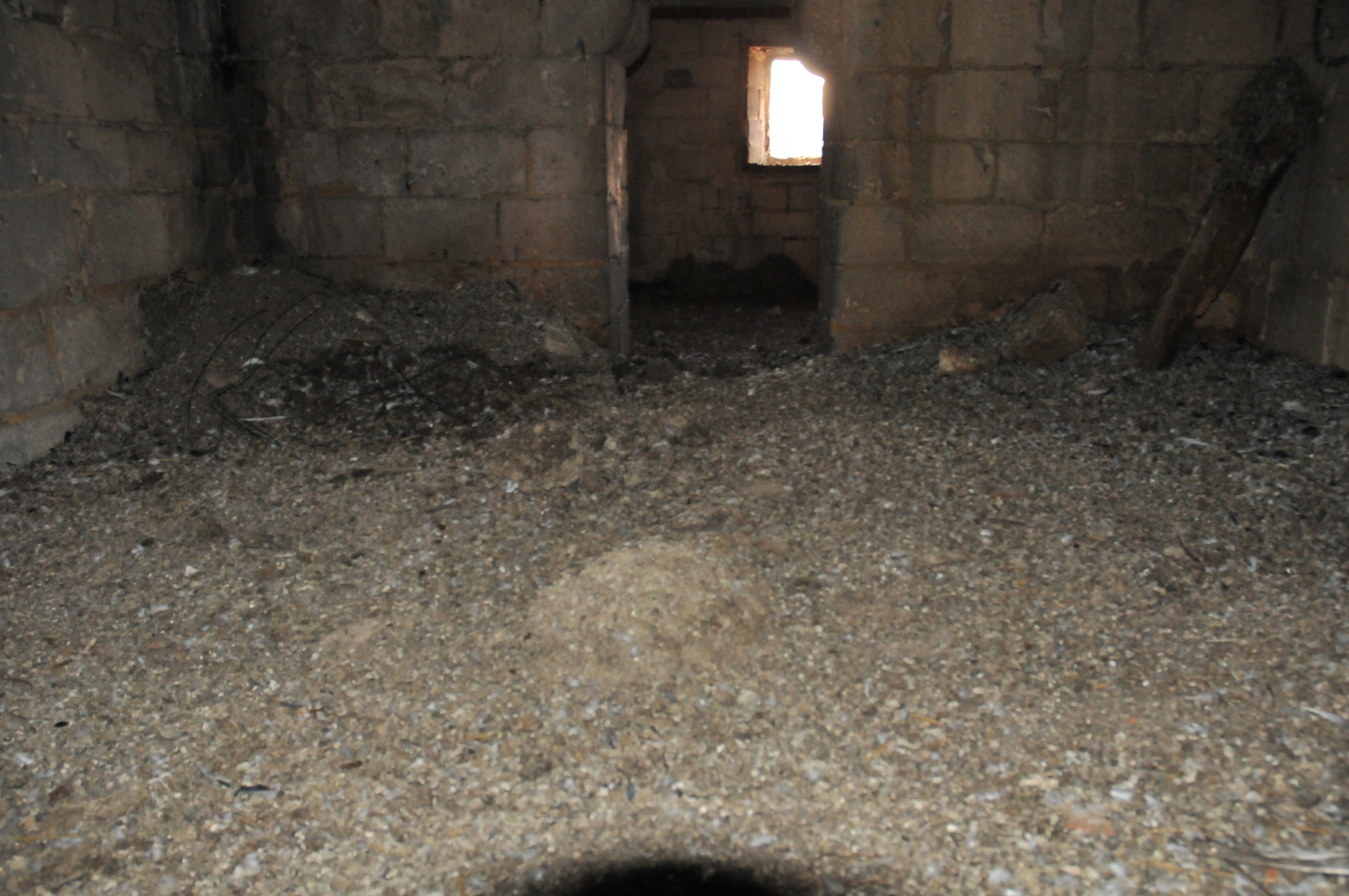 DSC_2344.JPG