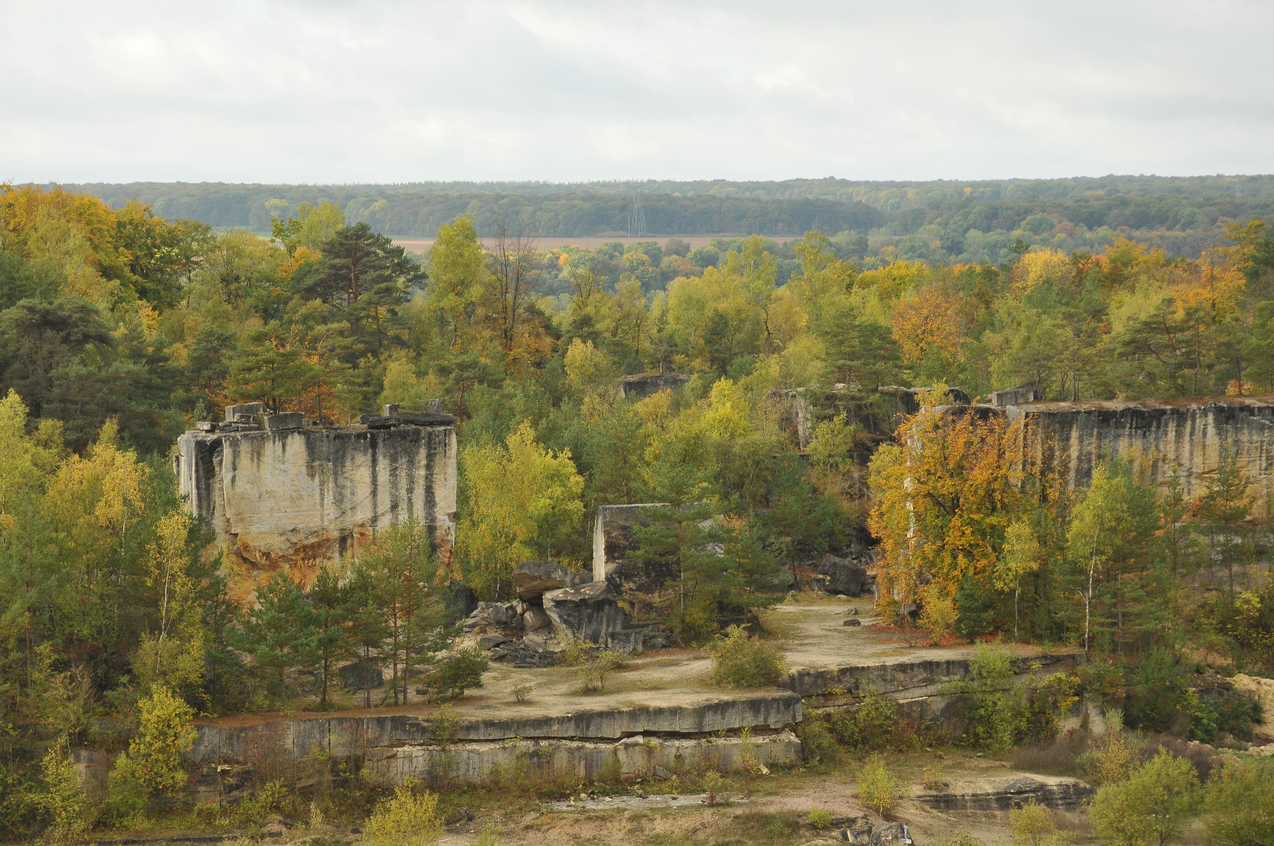 DSC_3218 _1_.JPG