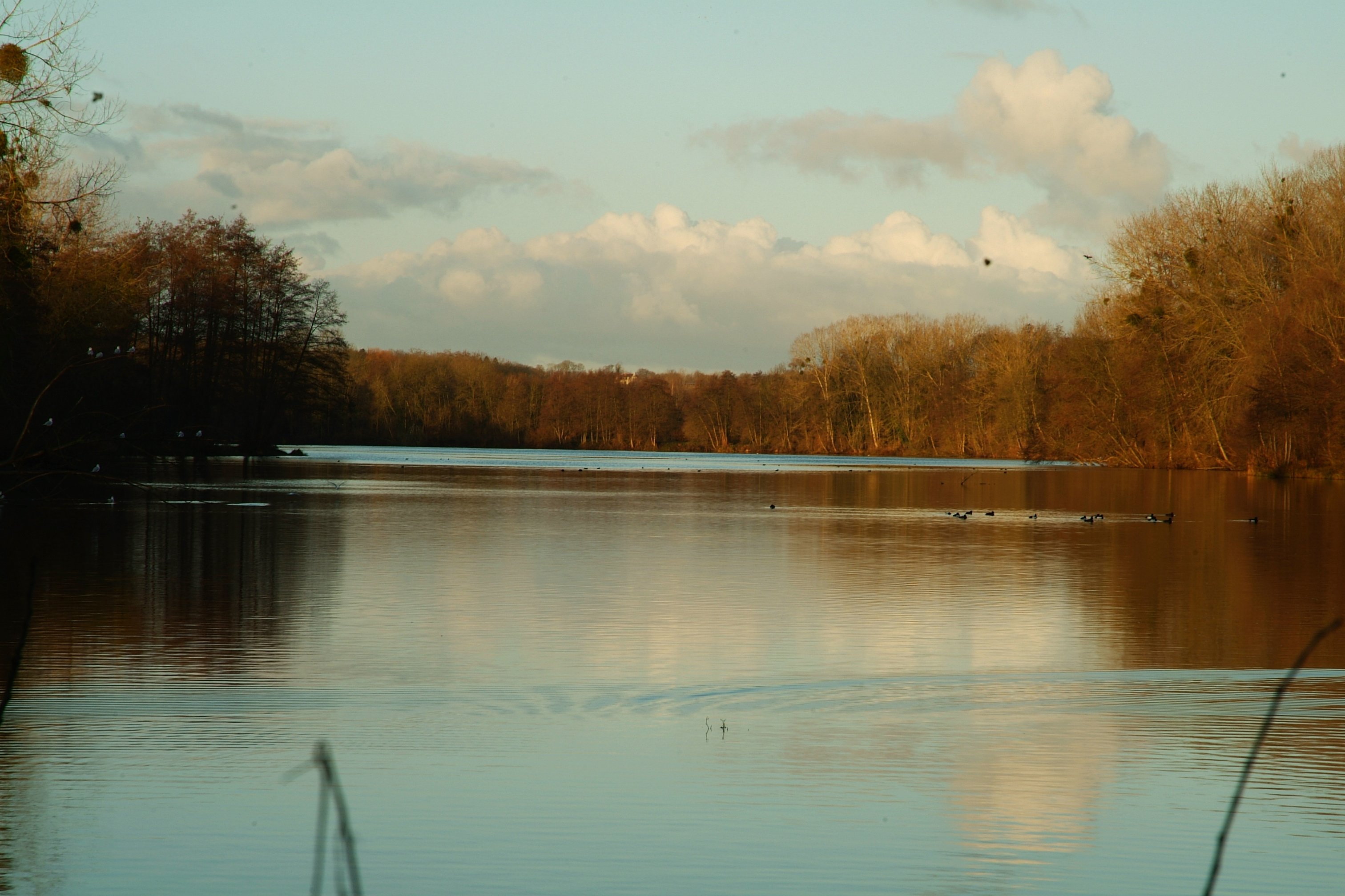 DSCF3308.JPG