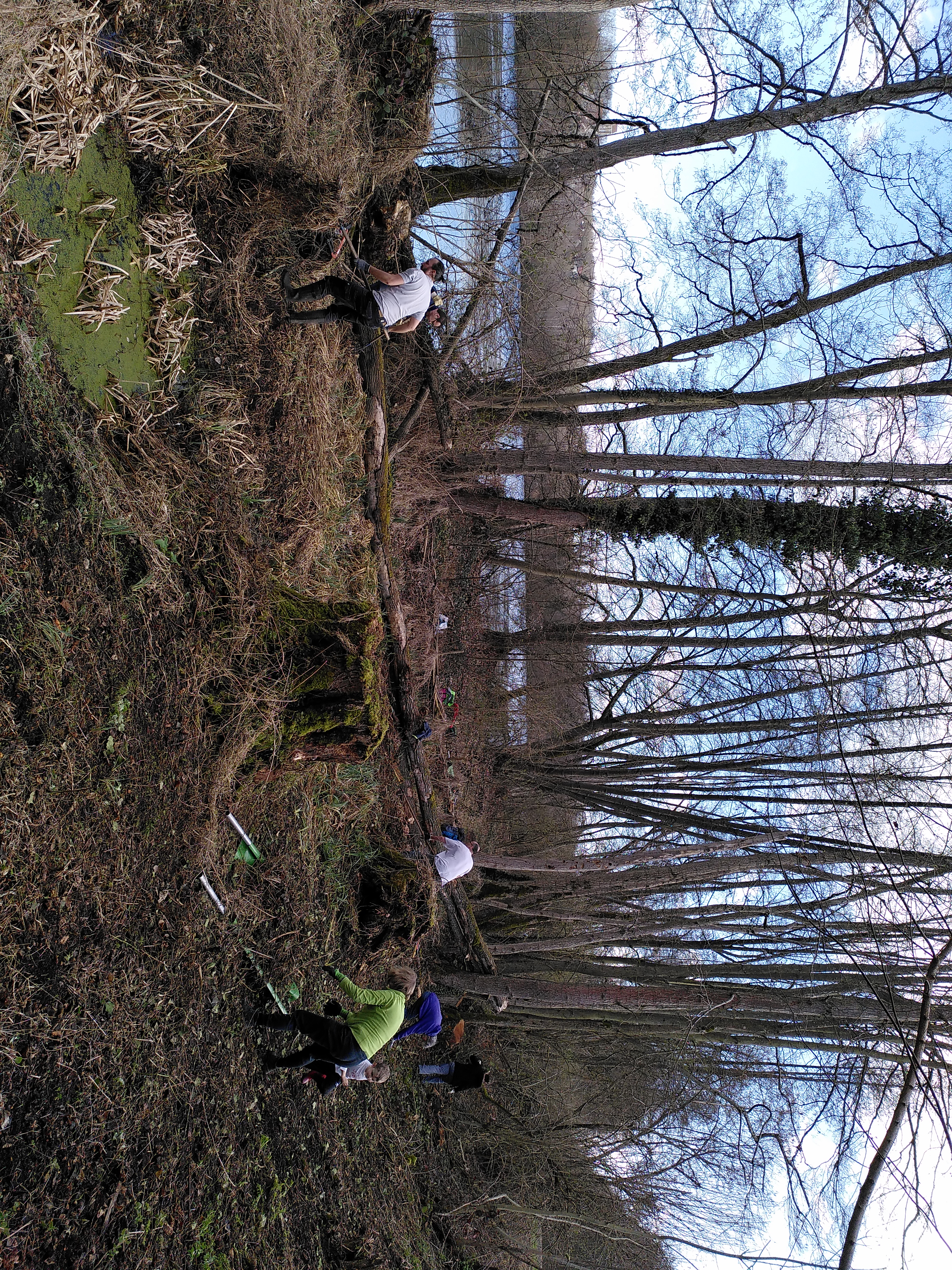 IMG_20230318_111307.jpg