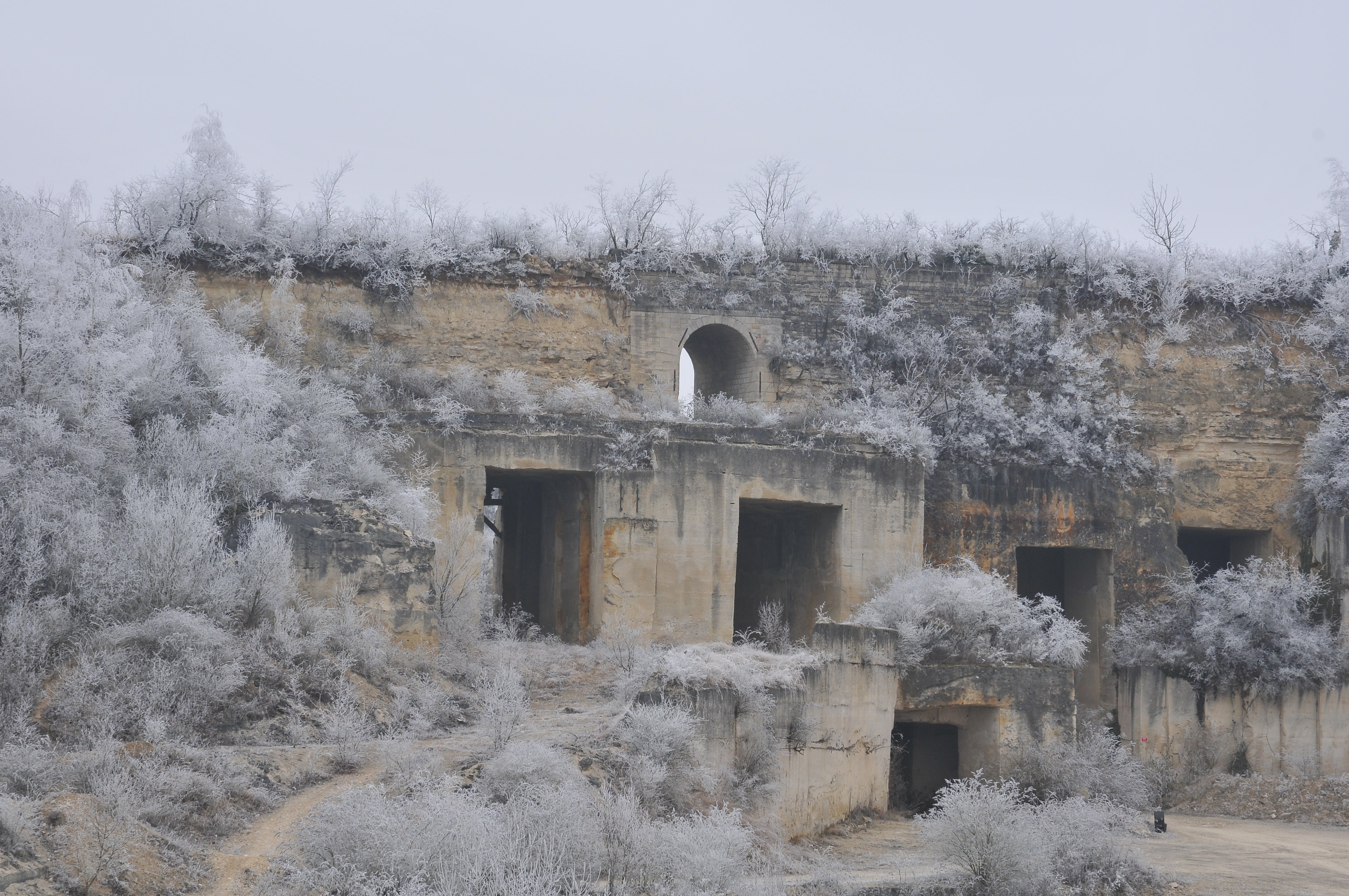 DSC_1863.JPG