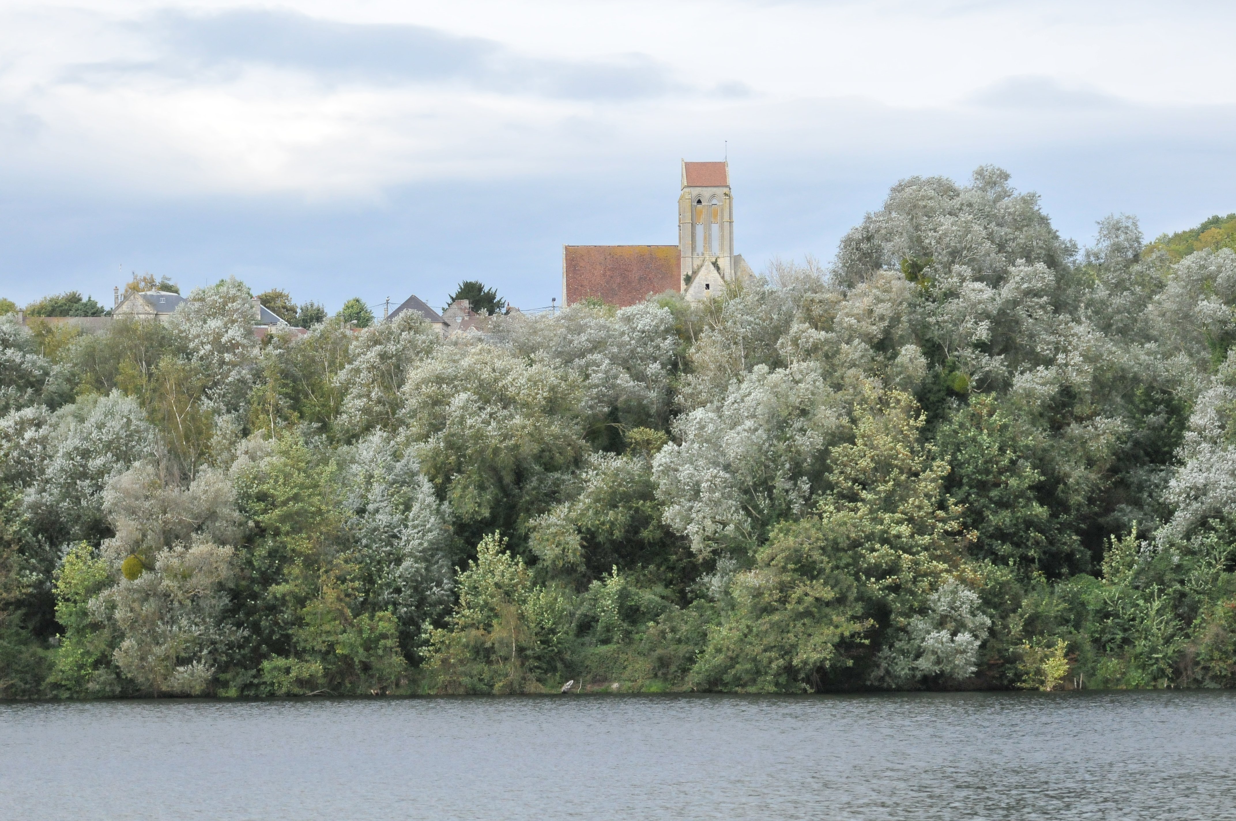 DSC_1610.JPG