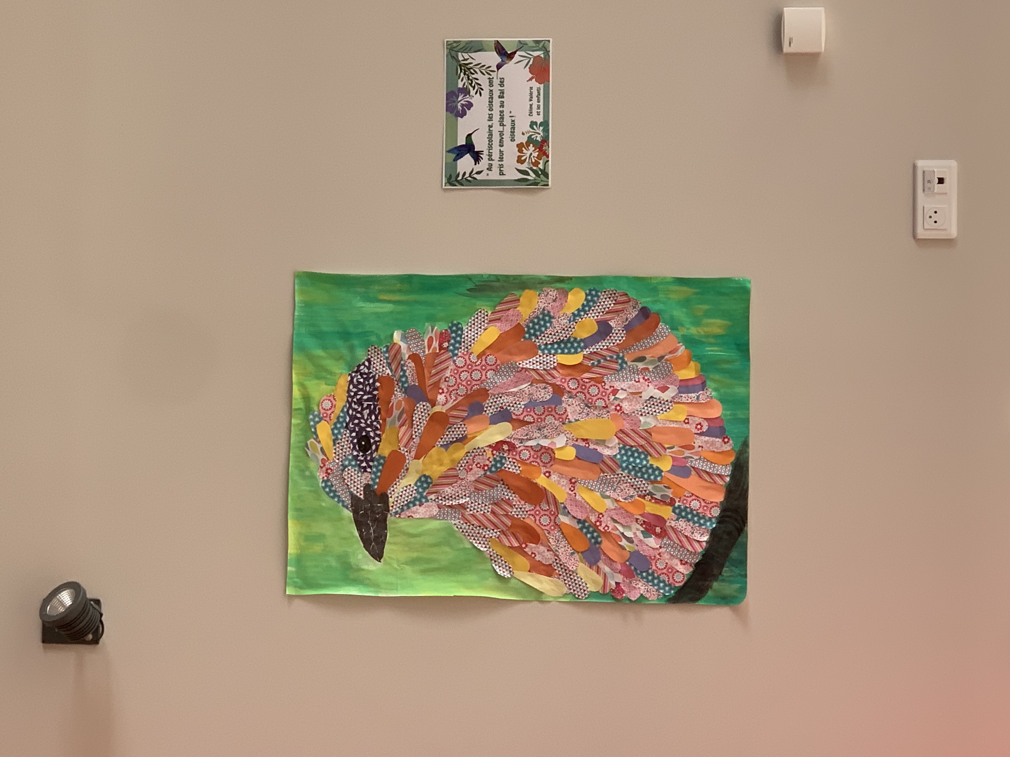 IMG_5386.jpeg