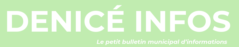 logo denice info.PNG