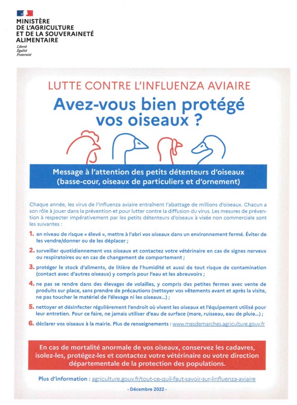 Influenza Aviaire 1.jpg