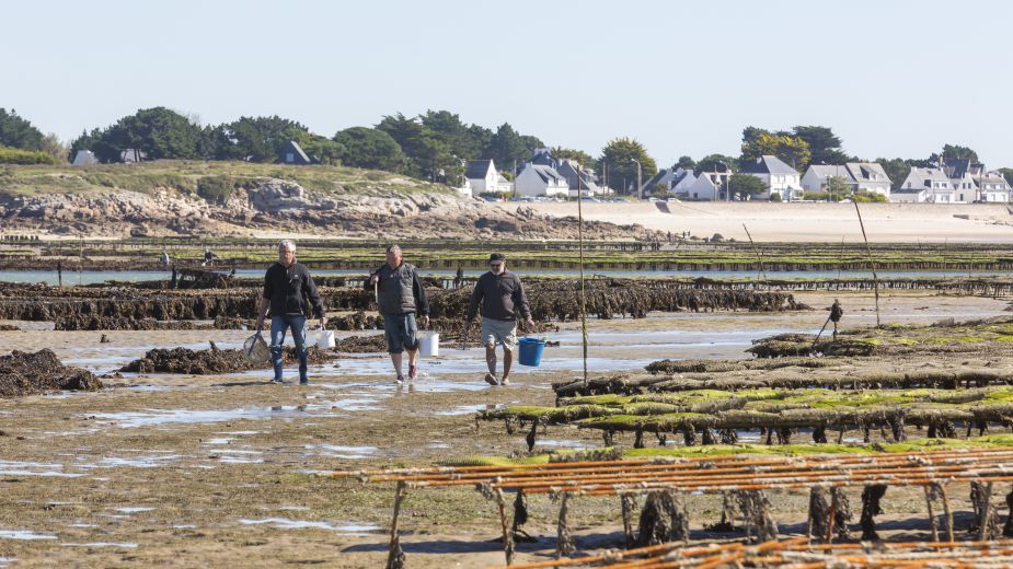 img peche a pieds.jpg