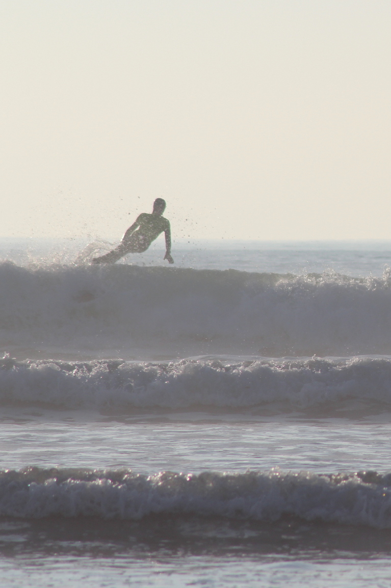 surfeur brume