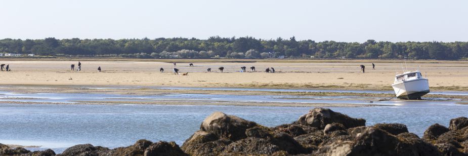 img sables blancs rochers.jpg