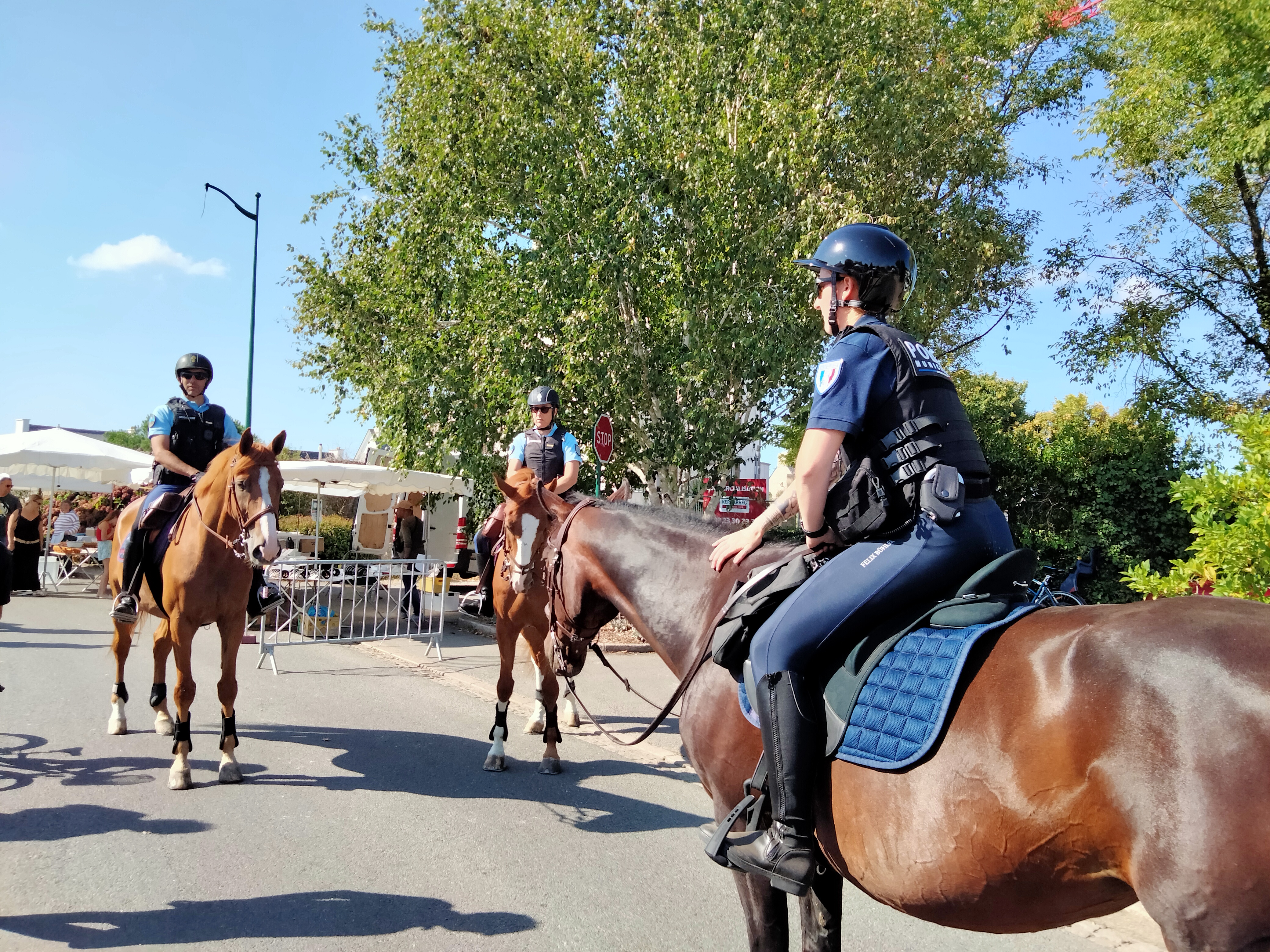 Garde équestre marché _9_.jpg