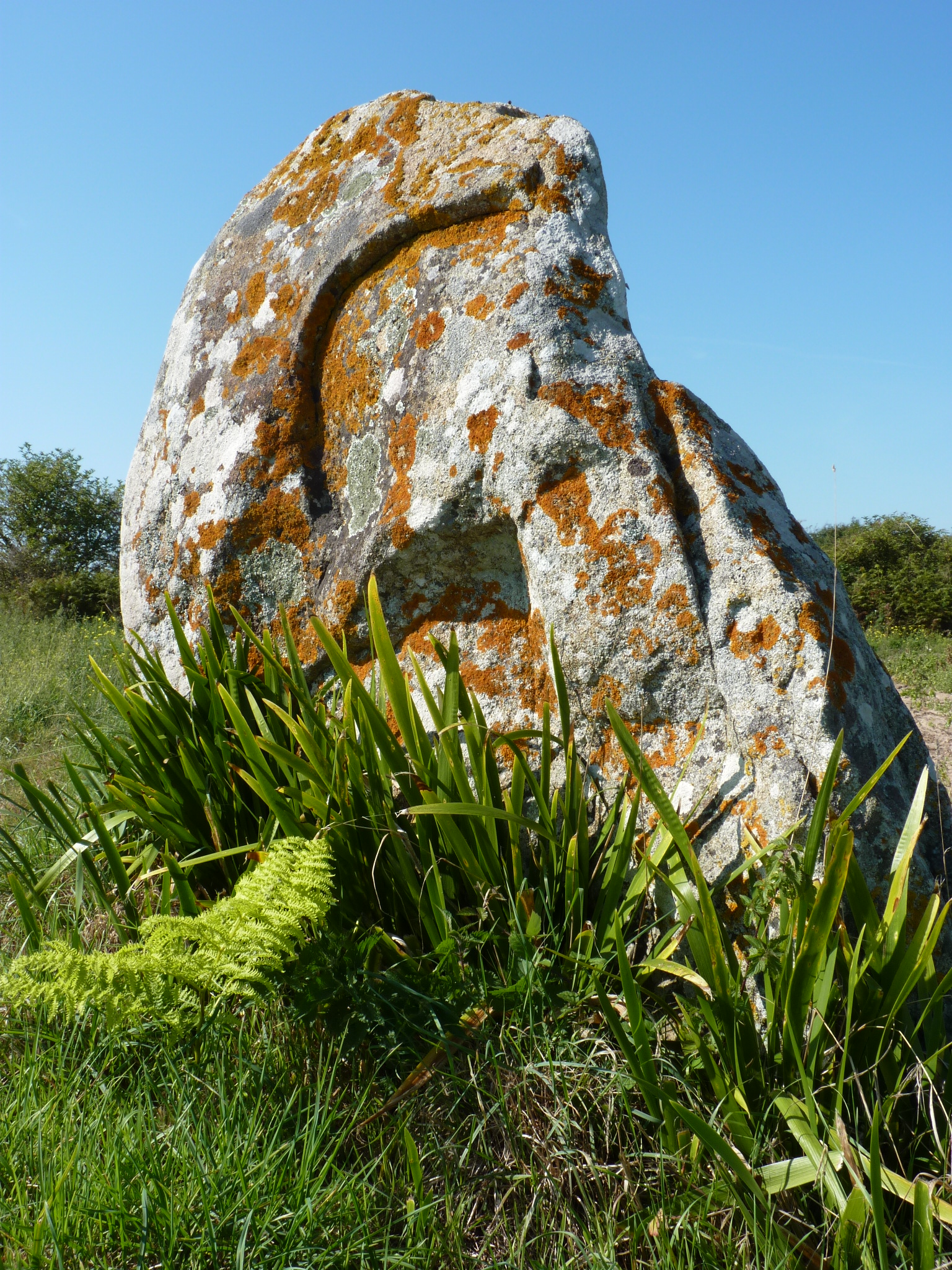 Ste Barbe alignements10.JPG
