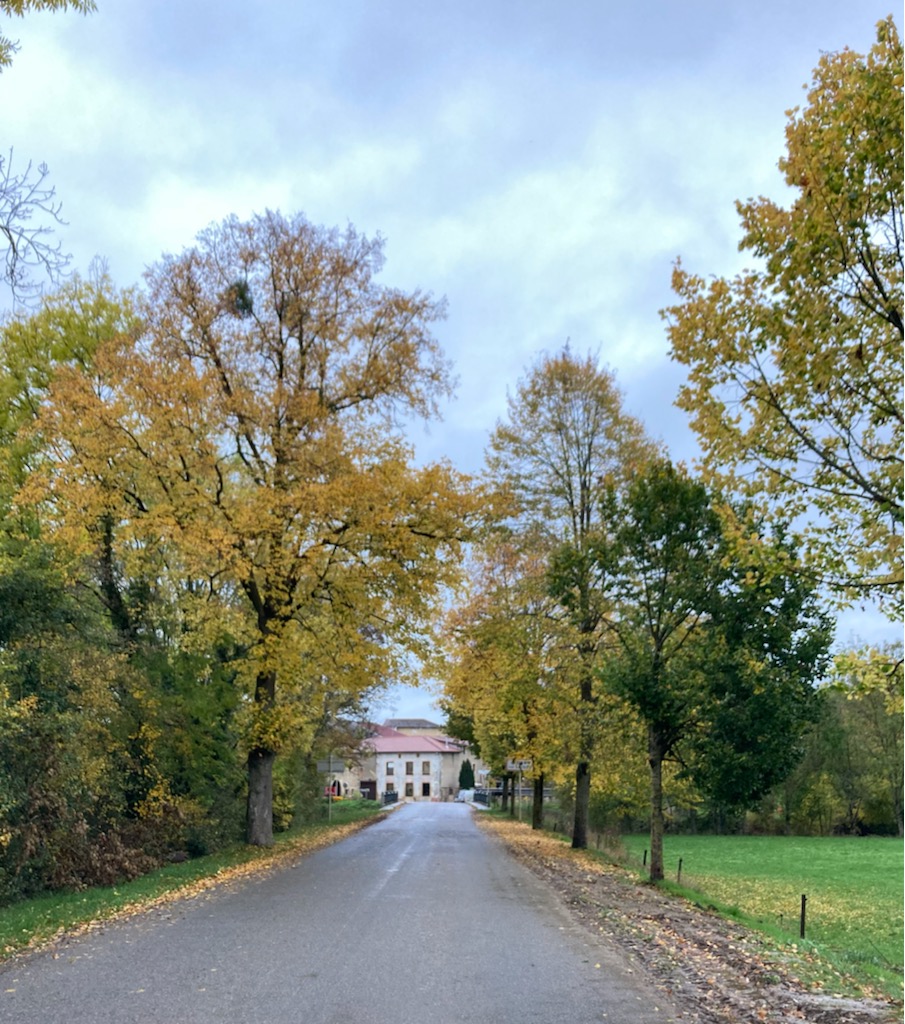 Les 4 saisons à Juvigny Commune de JuvignysurLoison