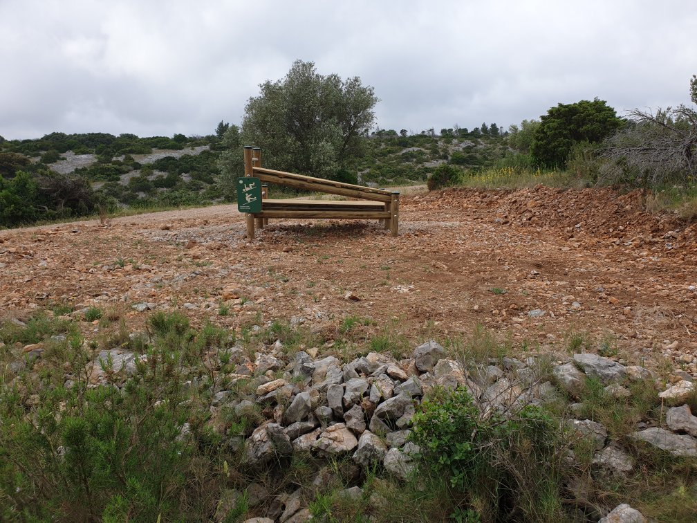 2 _pompes et abdos_.jpg