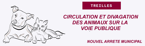 Logo divagation animal.png