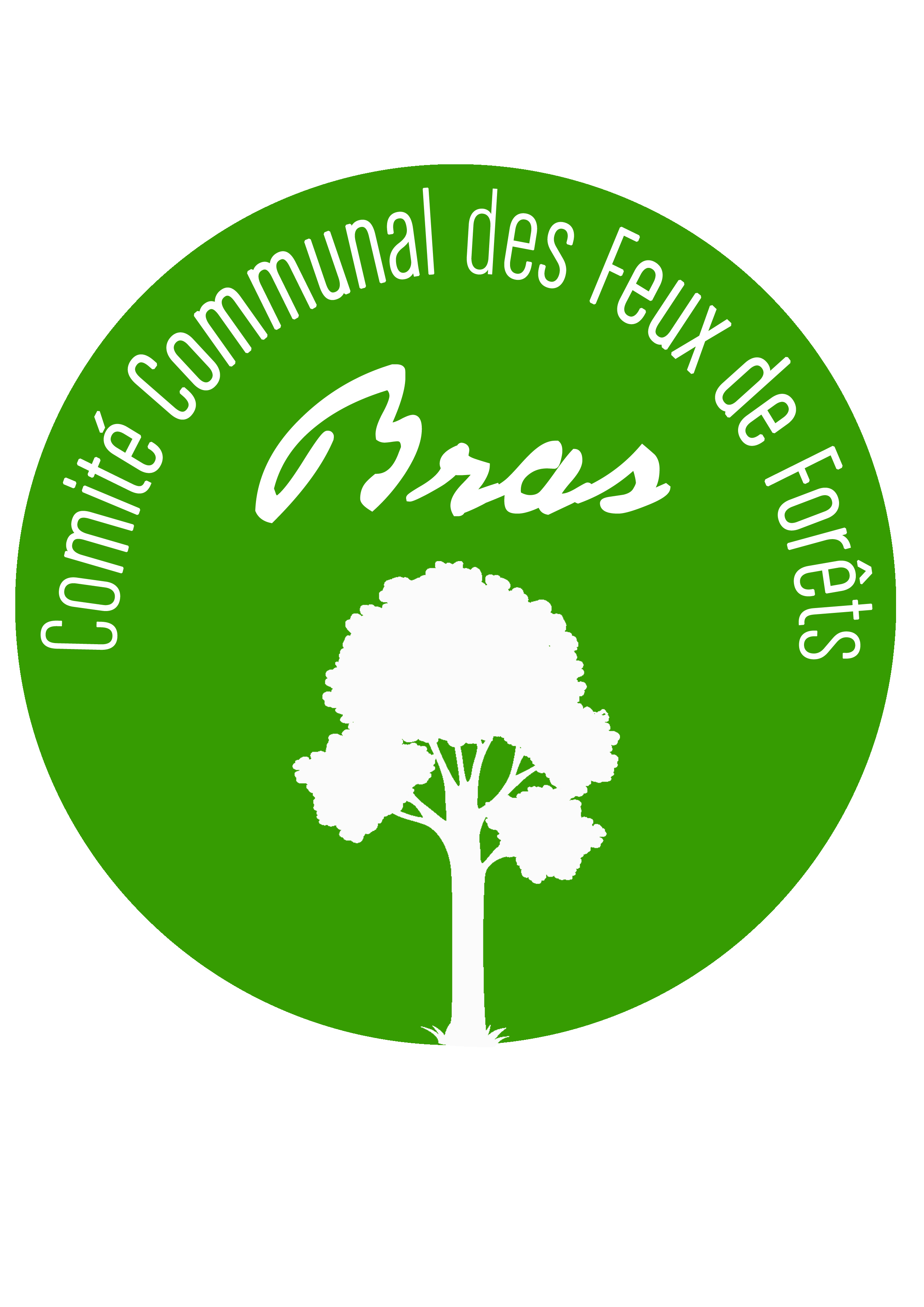 Logo CCFF