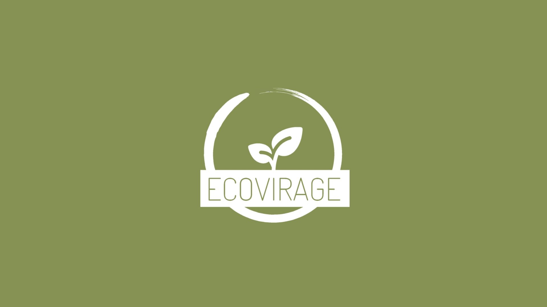 Ecovirage Logo.jpg
