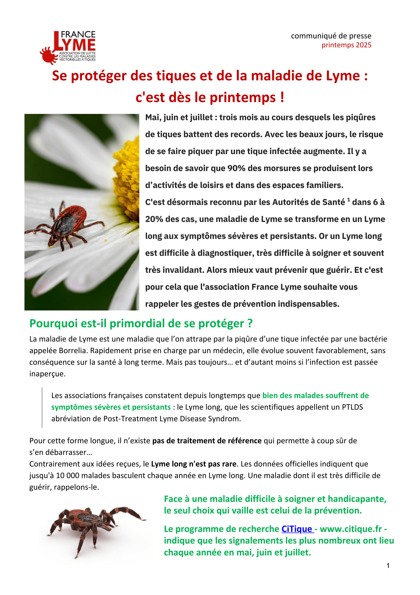 TIQUES 01.png