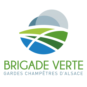 2022-logo-brigade-verte-ConvertImageTRANSPARENTcarre-300x300.png