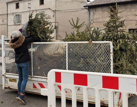 collecte sapin NOEL.jpg