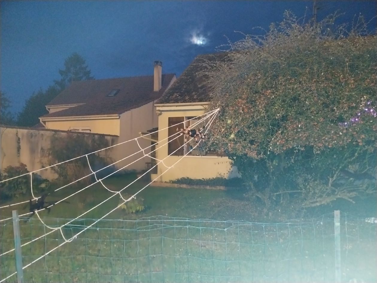 20251031_181357 _2_.jpg