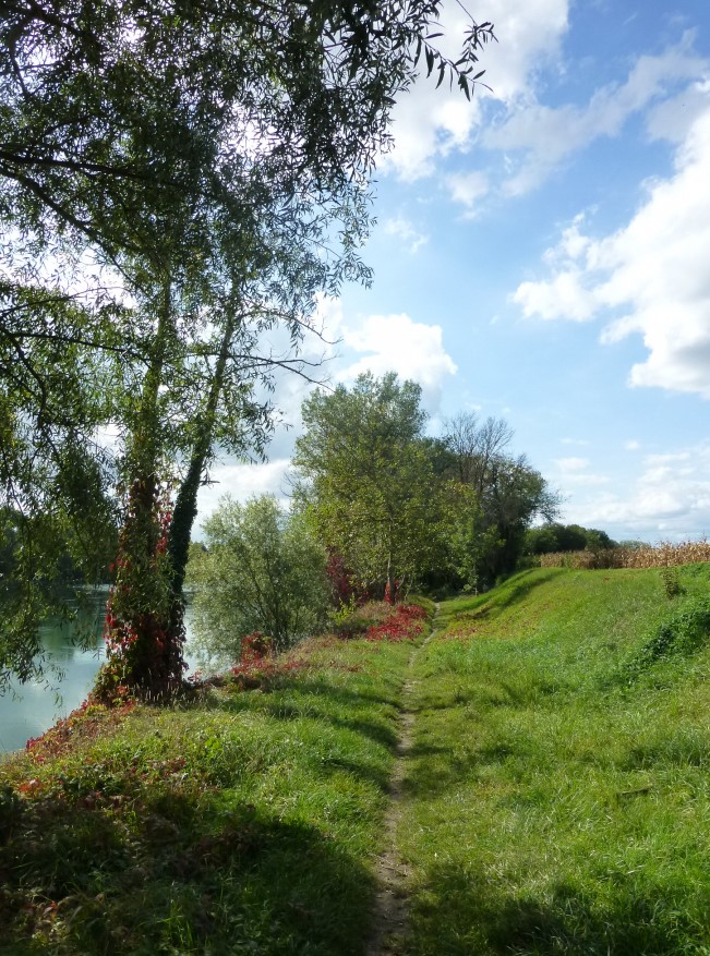 Chemin le long du Rhone.jpg