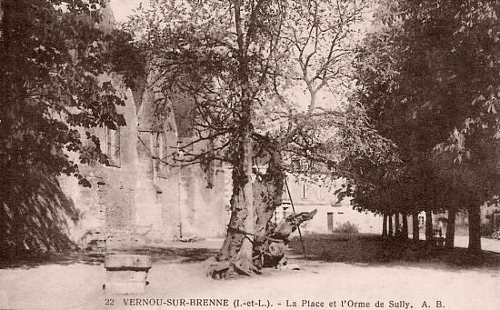 place du centenaire et orme de sully.jpg