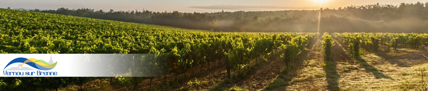 Logo Commune de Vernou-sur-Brenne