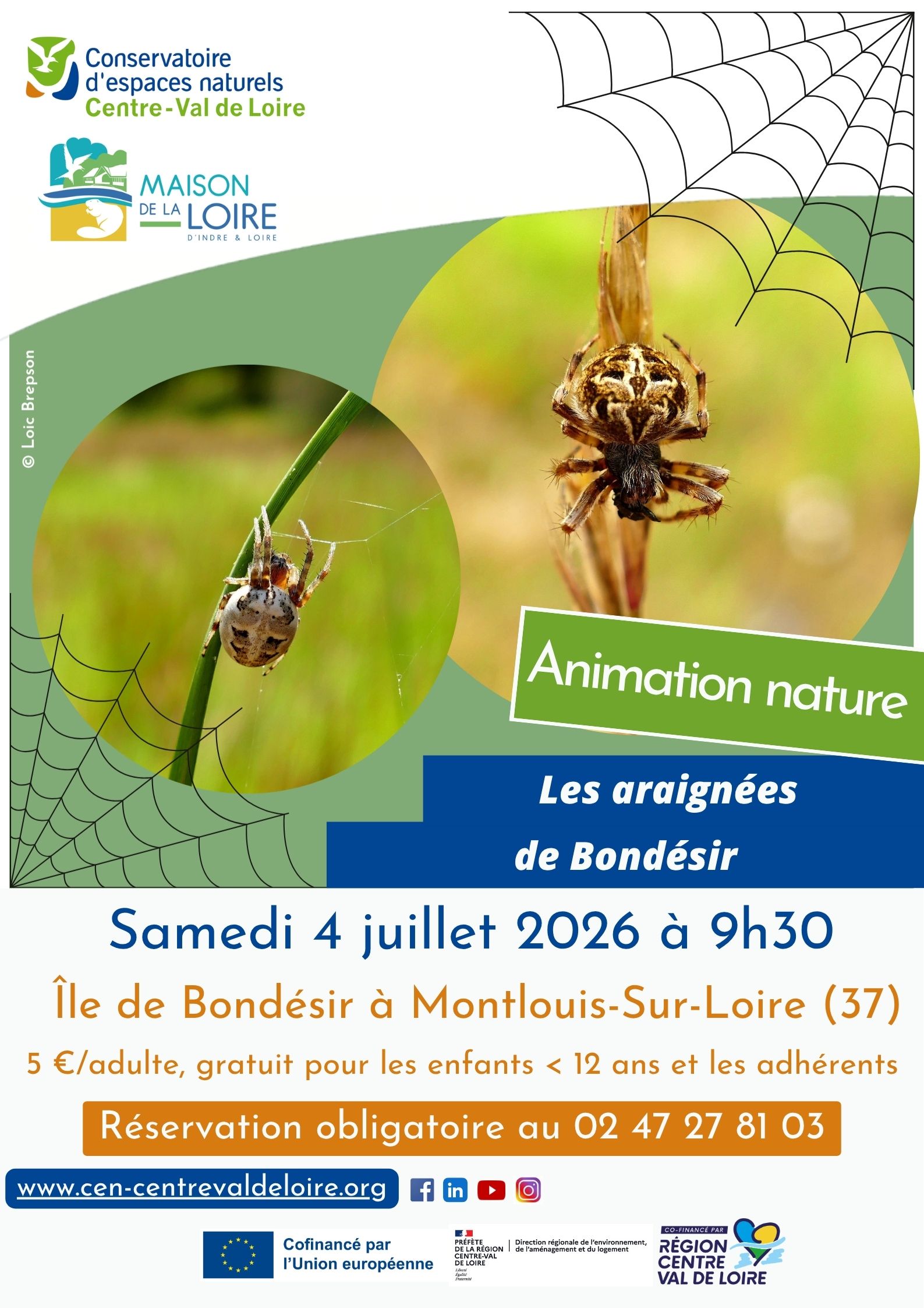 Affiche_IleDeBondesir_Araignee_04072026.jpg